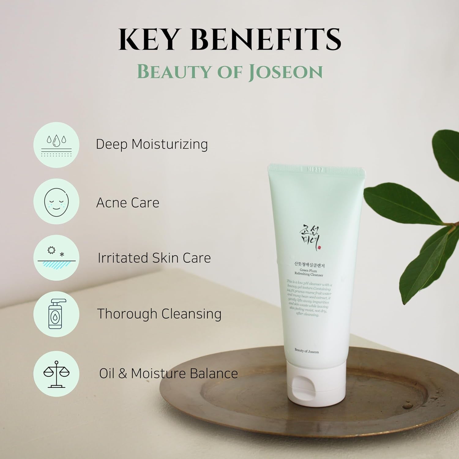 Green Plum Refreshing Cleanser