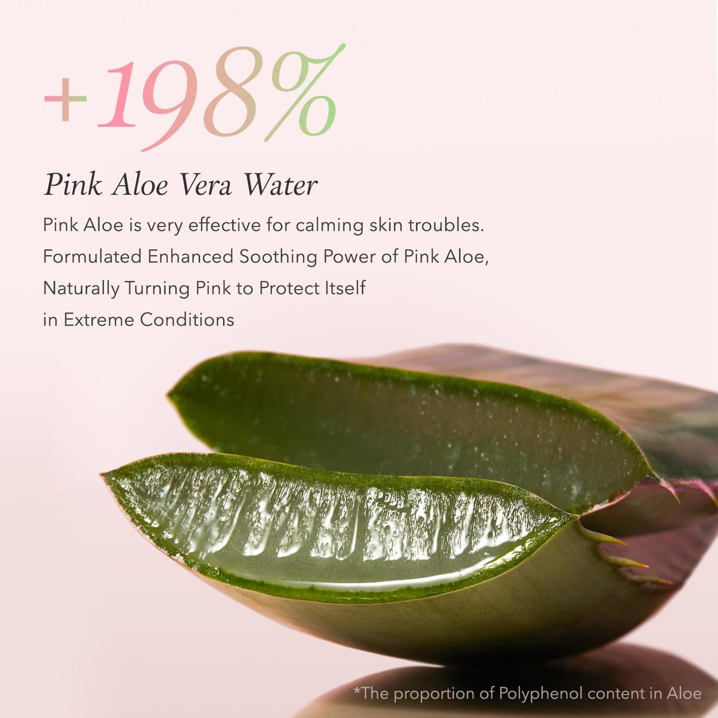 Pink Aloe Facial Pack Cleanser